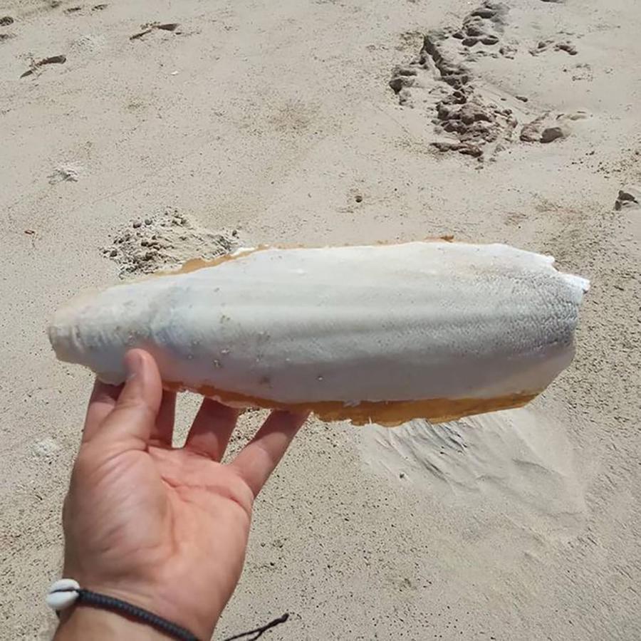 Vilas Na Areia Aparthotel Sal Rei Kültér fotó