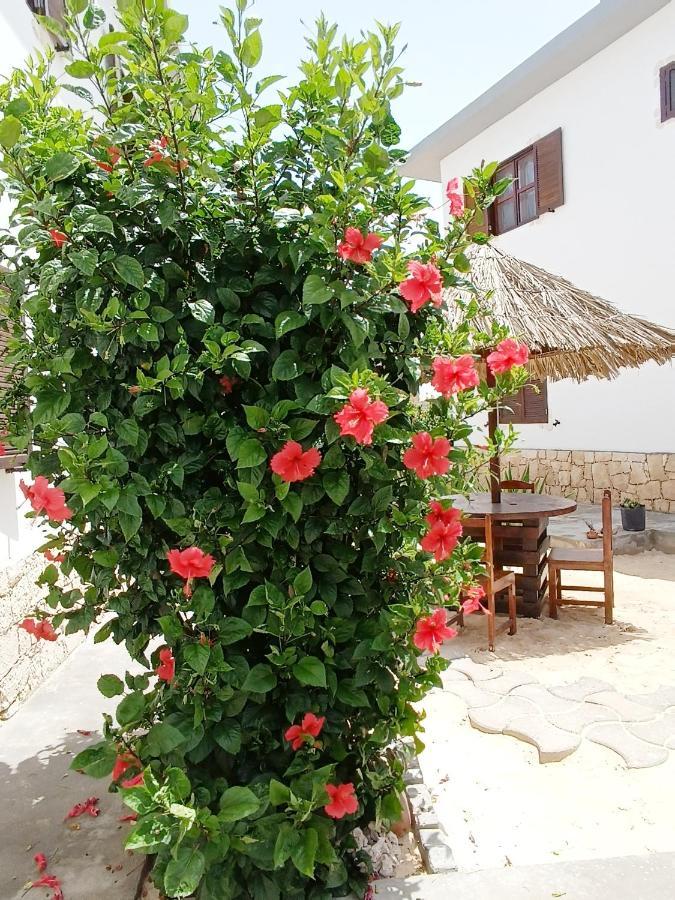 Vilas Na Areia Aparthotel Sal Rei Kültér fotó